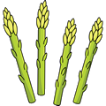Asperge