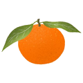 Clémentine