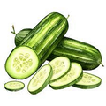 Concombre