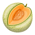 Melon