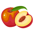 Nectarine