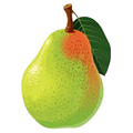 Poire d'automne - hiver