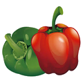 Poivron