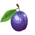 Prune